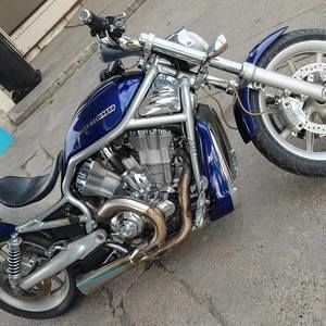 Meet your Posher, Julius